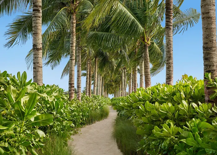 The Riviera Maya Edition At Kanai 5* Punta Maroma